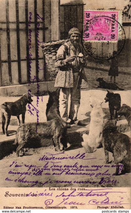 Türkei, Osmanisches Reich, 1904, Hunde, "Les chiens des rues"