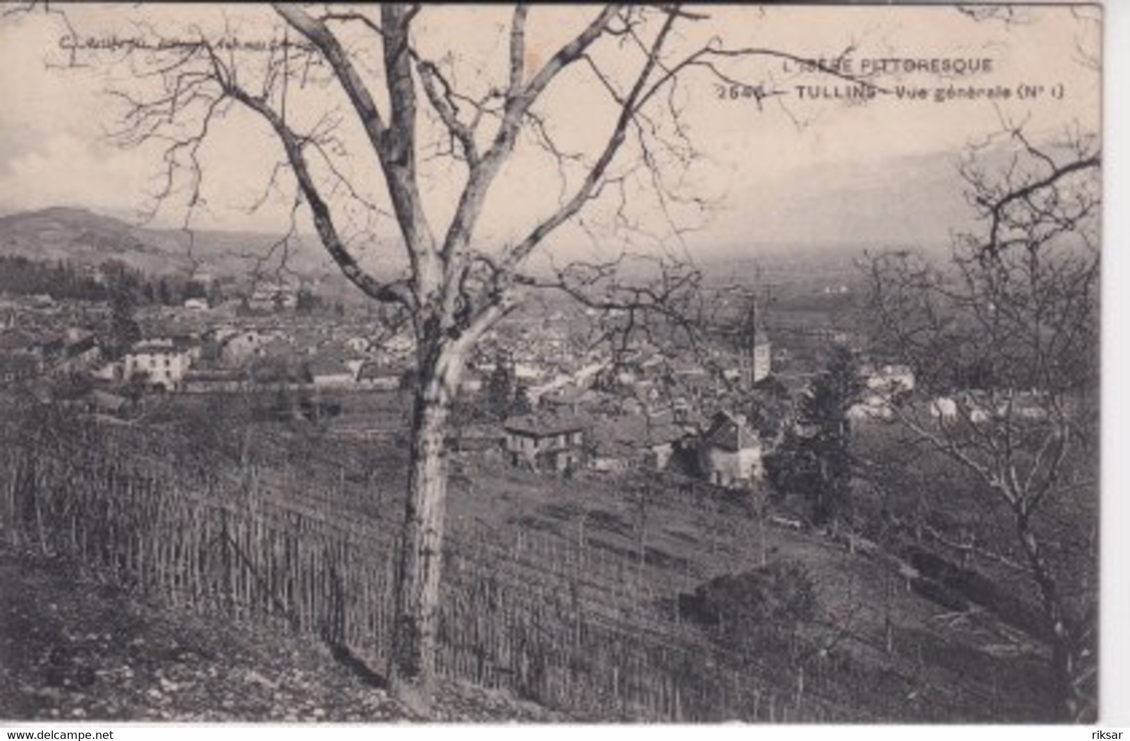 TULLINS(ARBRE)