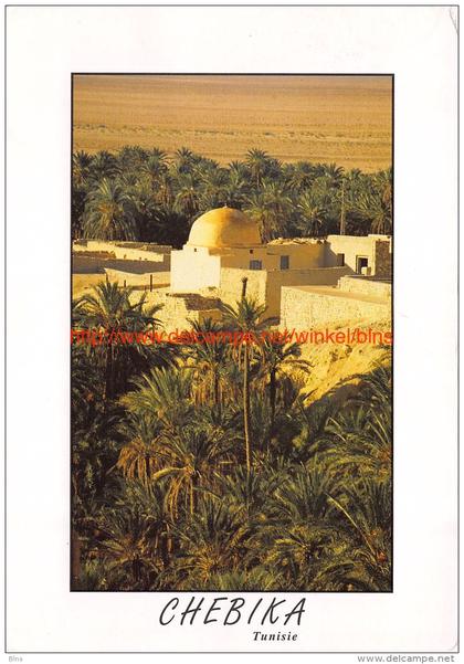 Chebika - Sud Tunisie