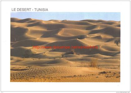 Le Desert - Tunisie
