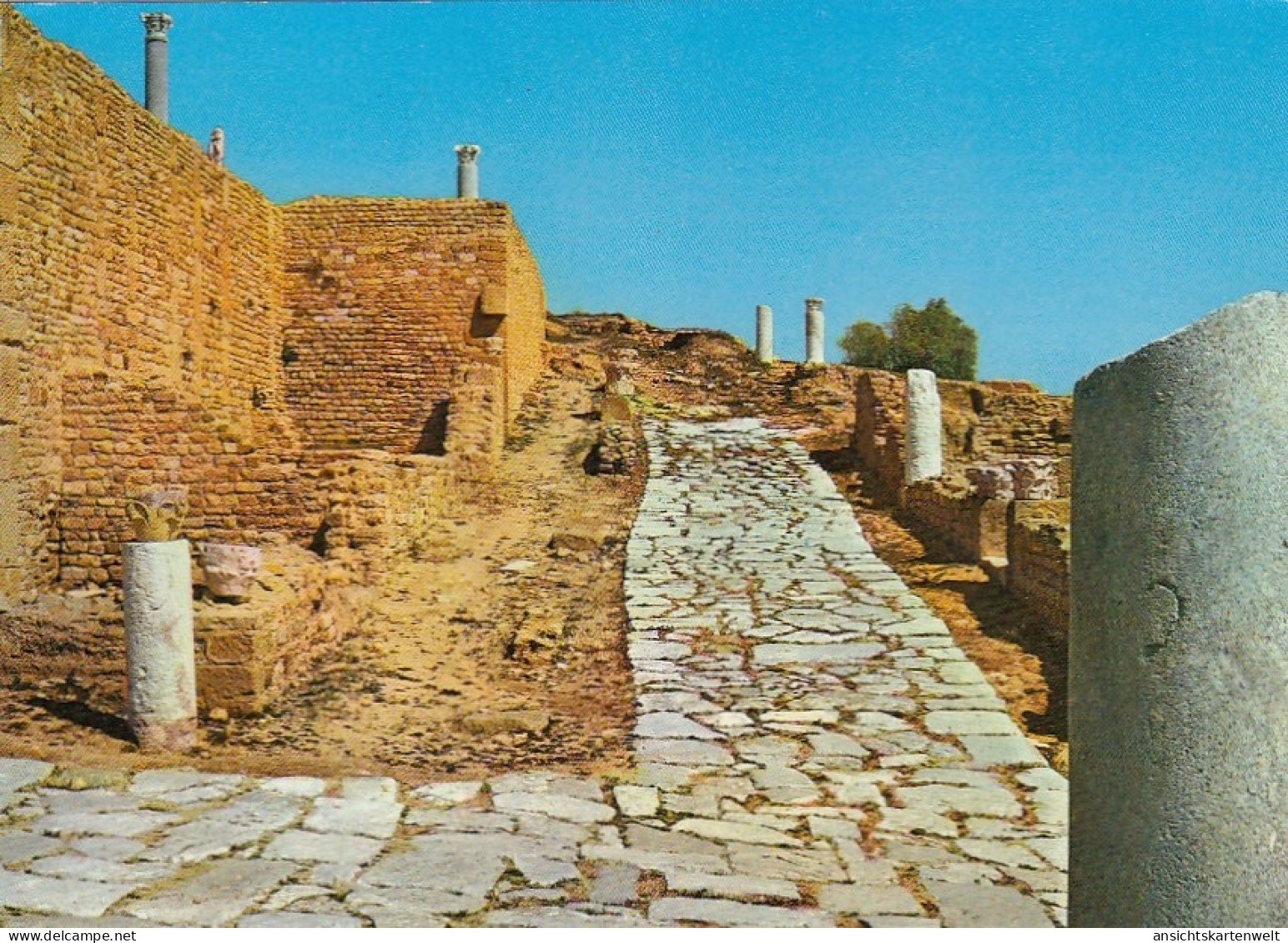 Tunesien, Carthage, ruines romaines ngl #F4472