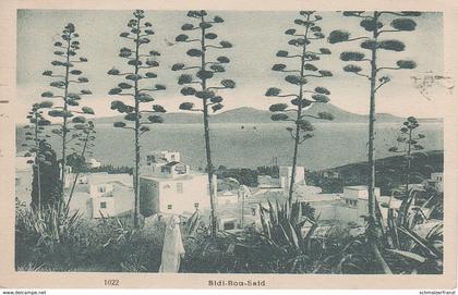 CPA AK Sidi Bou Said سيدي بوسعيد a Tunis تونس Carthage Karthago قرطاج Tunesien تونس Tunisie Tunisia ختم Timbre Stamp