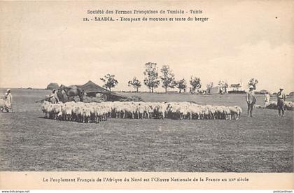 Tunisie - SAADIA - Troupeau de moutons - Société des Fermes Françaises de Tunisie 12