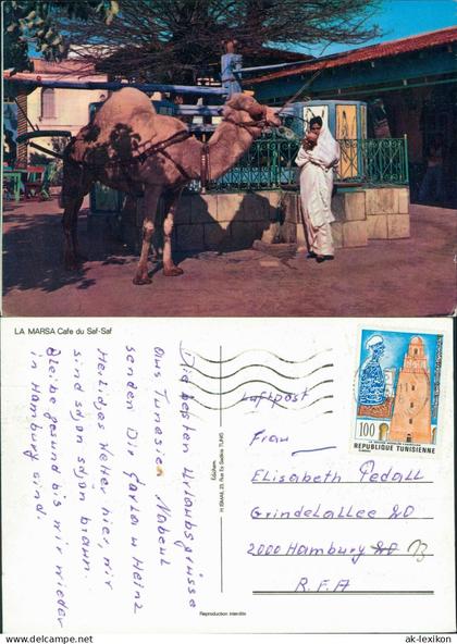 Postcard Tunesien LA MARSA Cafe du Saf-Saf, Kamel Einheimische 1980