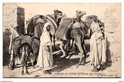 Tunisie - Etude de Chameaux