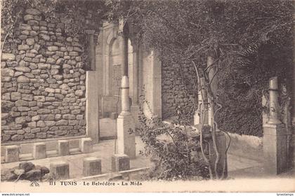 A801 Tunisia Tunis Belvedere La Mida vintage postcard