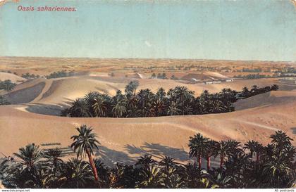B611 Tunisia Oasis Sahariennes vintage postcard