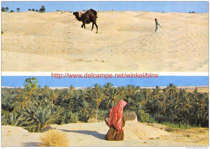 Le Sud - Tunisie