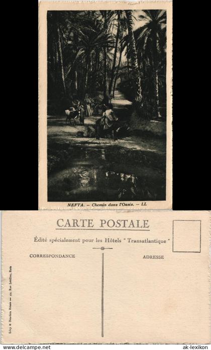 Postcard Tunesien NEFTA Chemin daus l'Oasis, Wüsten Oase 1930
