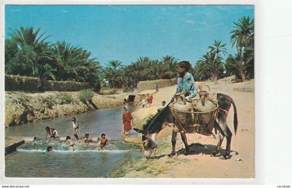 Tozeur, Les Oasis, Tunesien