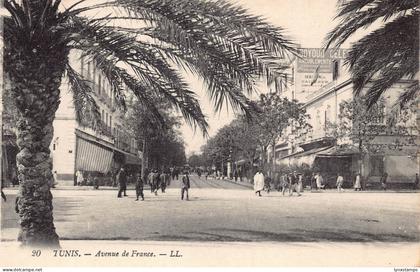 Tunisia Tunis Avenue de France vintage postcard