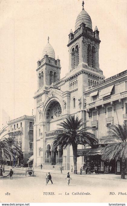 Tunisia Tunis Cathedral Grand Magasins vintage postcard