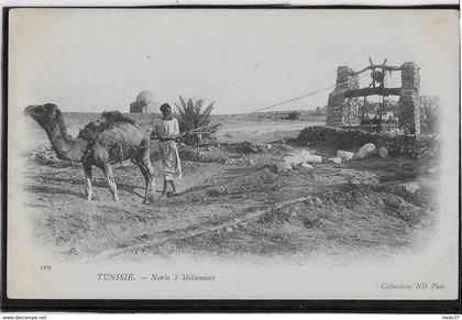 Tunisie - Noria à Métameur