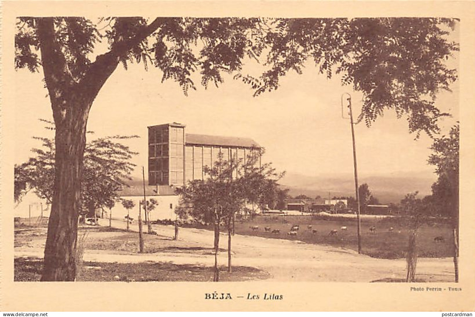 Tunisie - BÉJA - Les Lilas - Ed. Veuve Blaise
