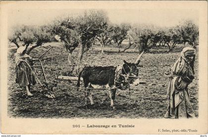 CPA TUNISIA Labourage en TUNISIA (712378)