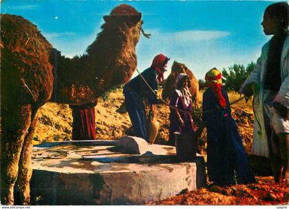 CPM Tunisie Costumes Bedouins