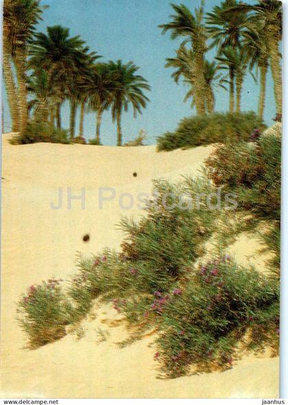 Sud Tunisien - L'Oasis - oasis - South Tunisia - Tunisia - used