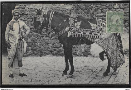 Tunisie - Cheval et Cavalier