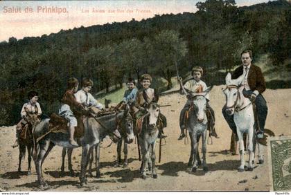 Turkije Turkey - Prinkipo