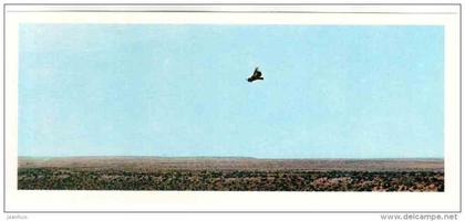 Steppe - bird - Badhyz State Nature Reserve - 1981 - Turkmenistan USSR - unused