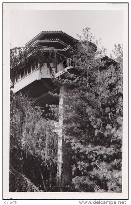 Turquie - Photographie - Istanbul - Consulat de France