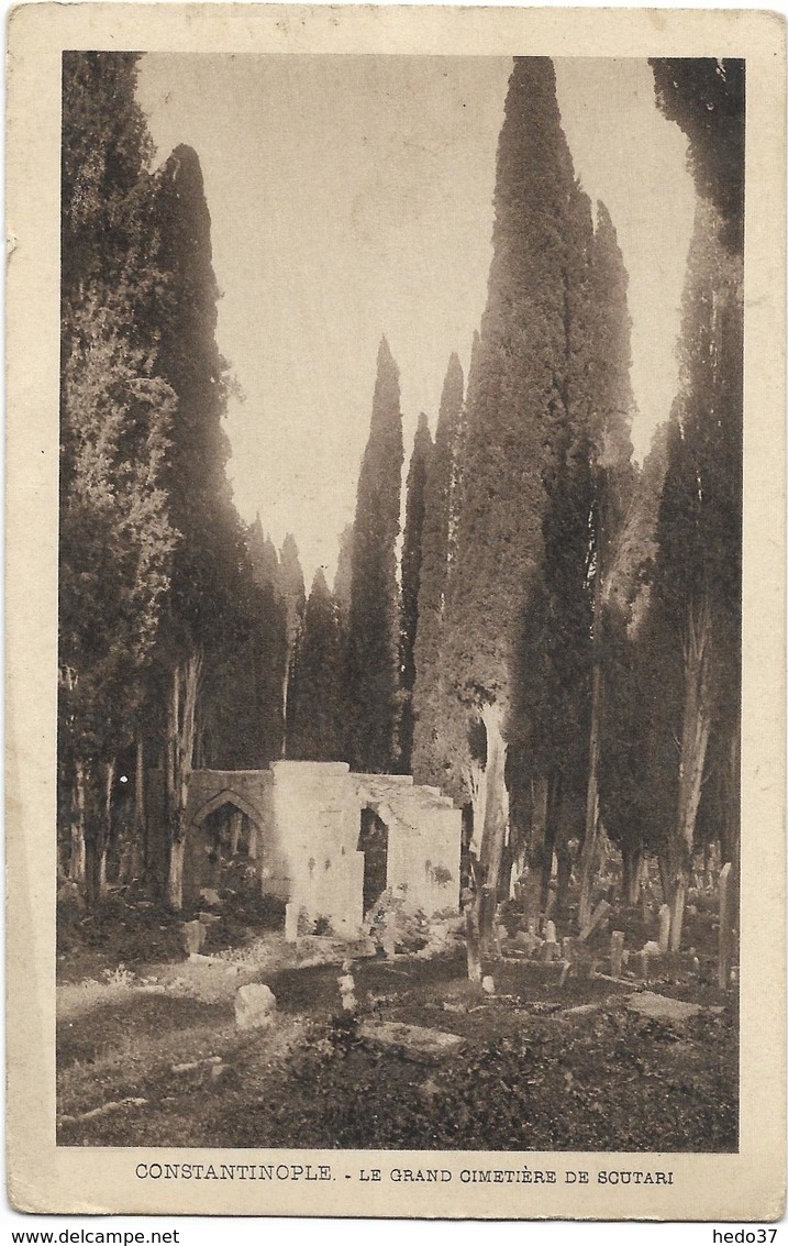 Turquie - Constantinople - Le Grand Cimetière de Scutari