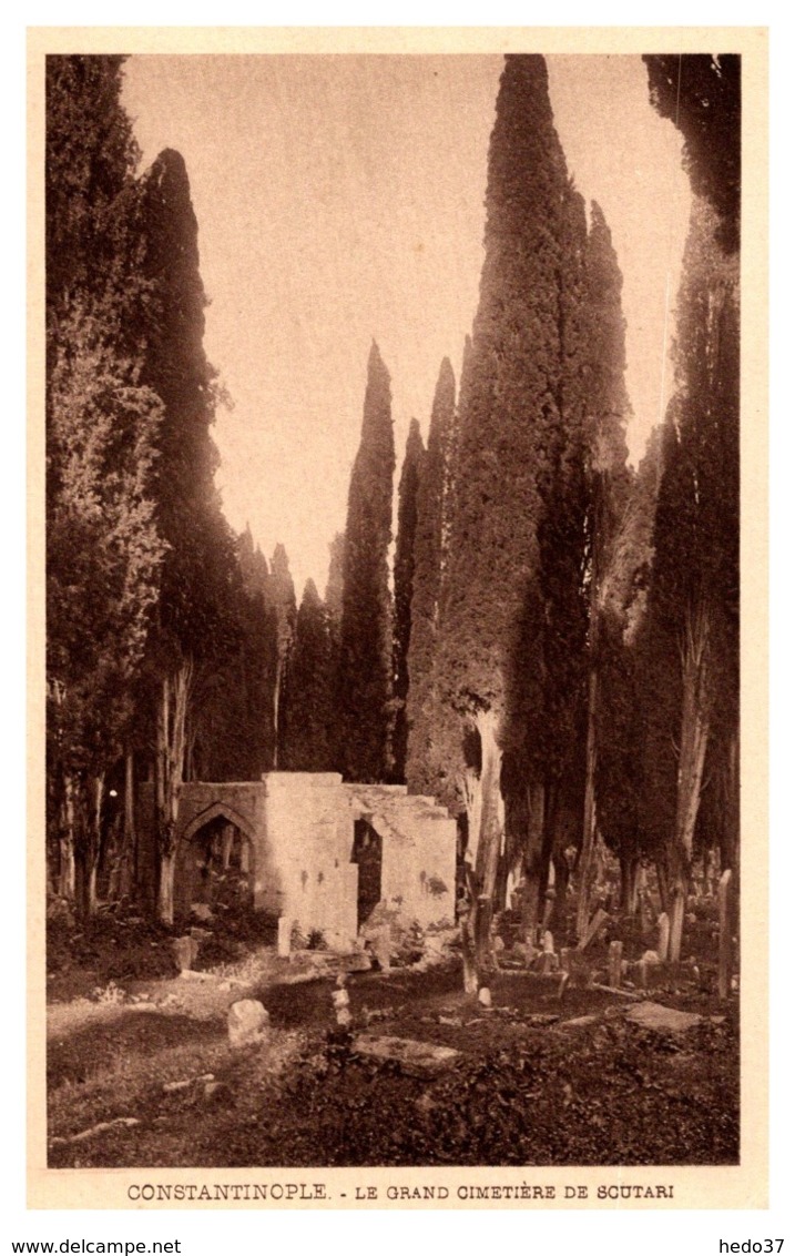 Turquie - Constantinople - Le Grand Cimetière de Scutari
