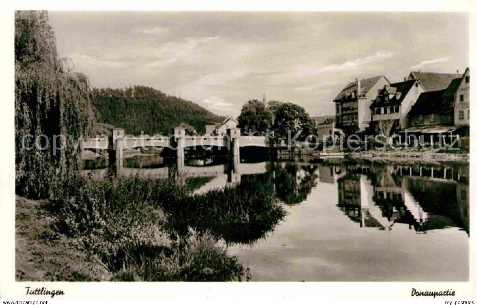 Tuttlingen Donaupartie
