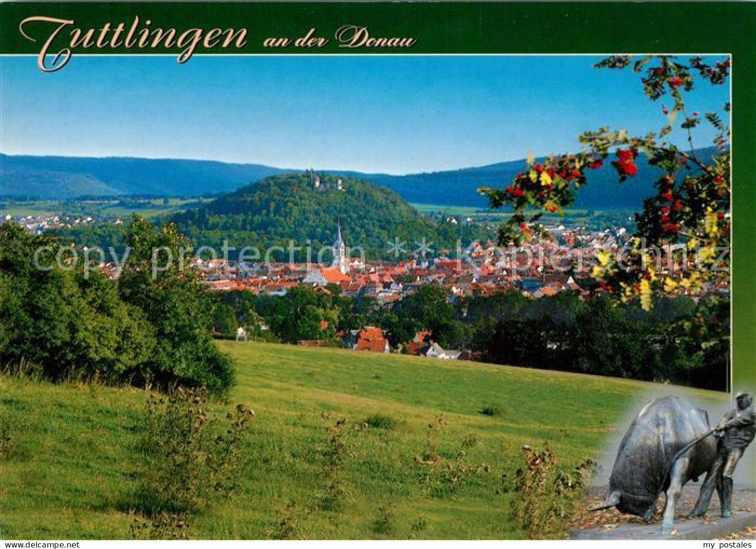 Tuttlingen Panorama Burg