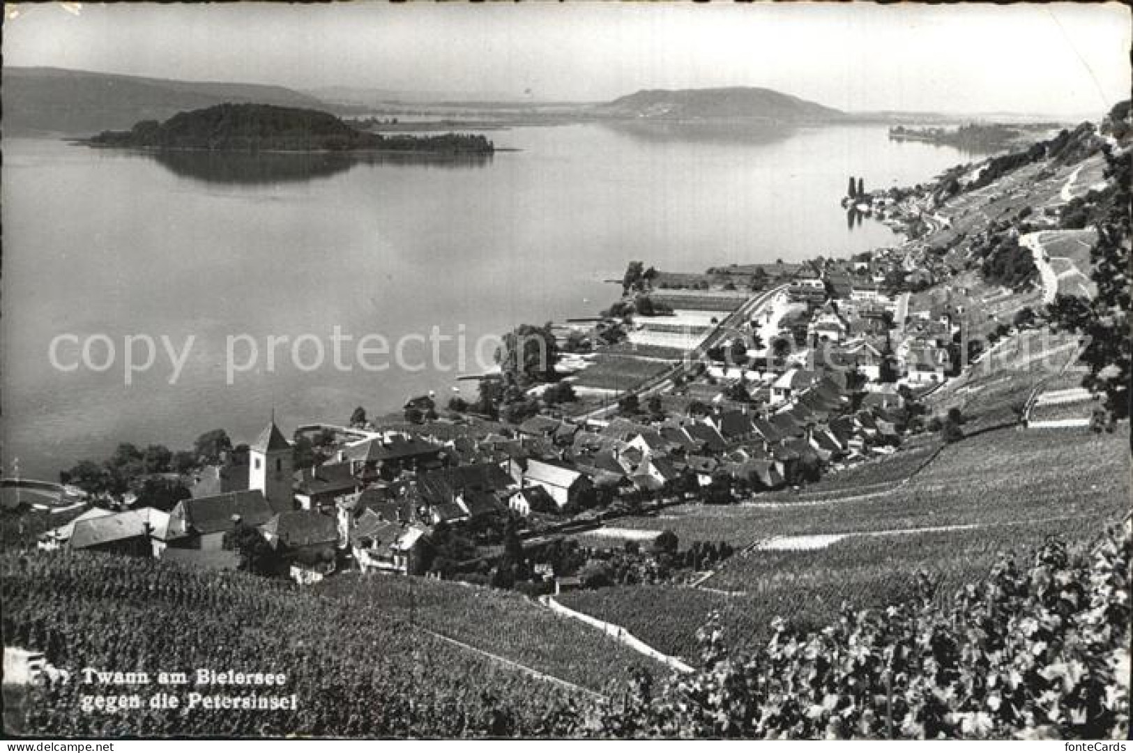 Twann Bielersee Petersinsel
