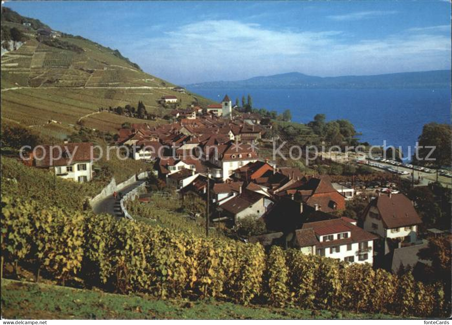 Twann Douanne Bielersee