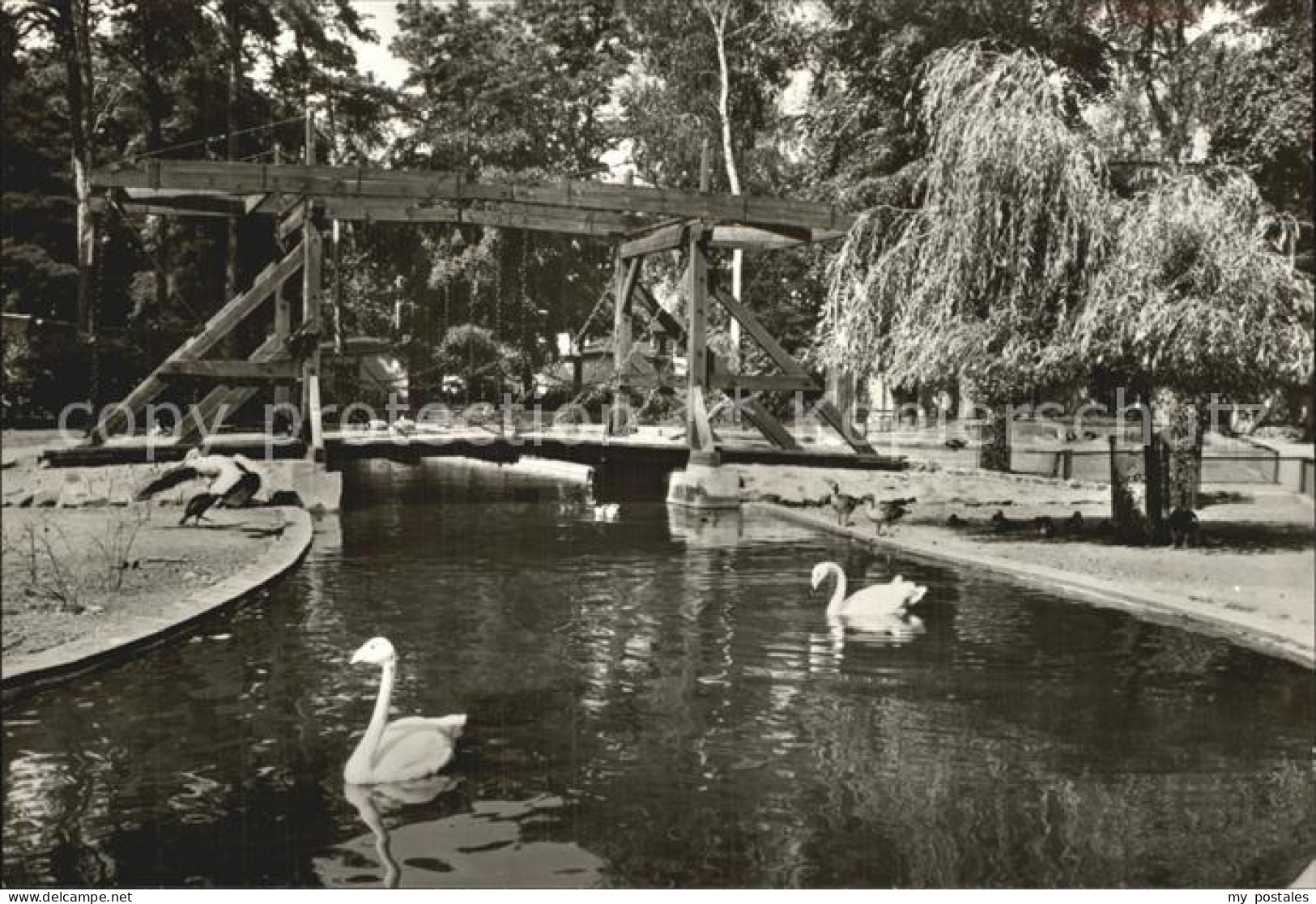 ueckermuende Kettenbruecke