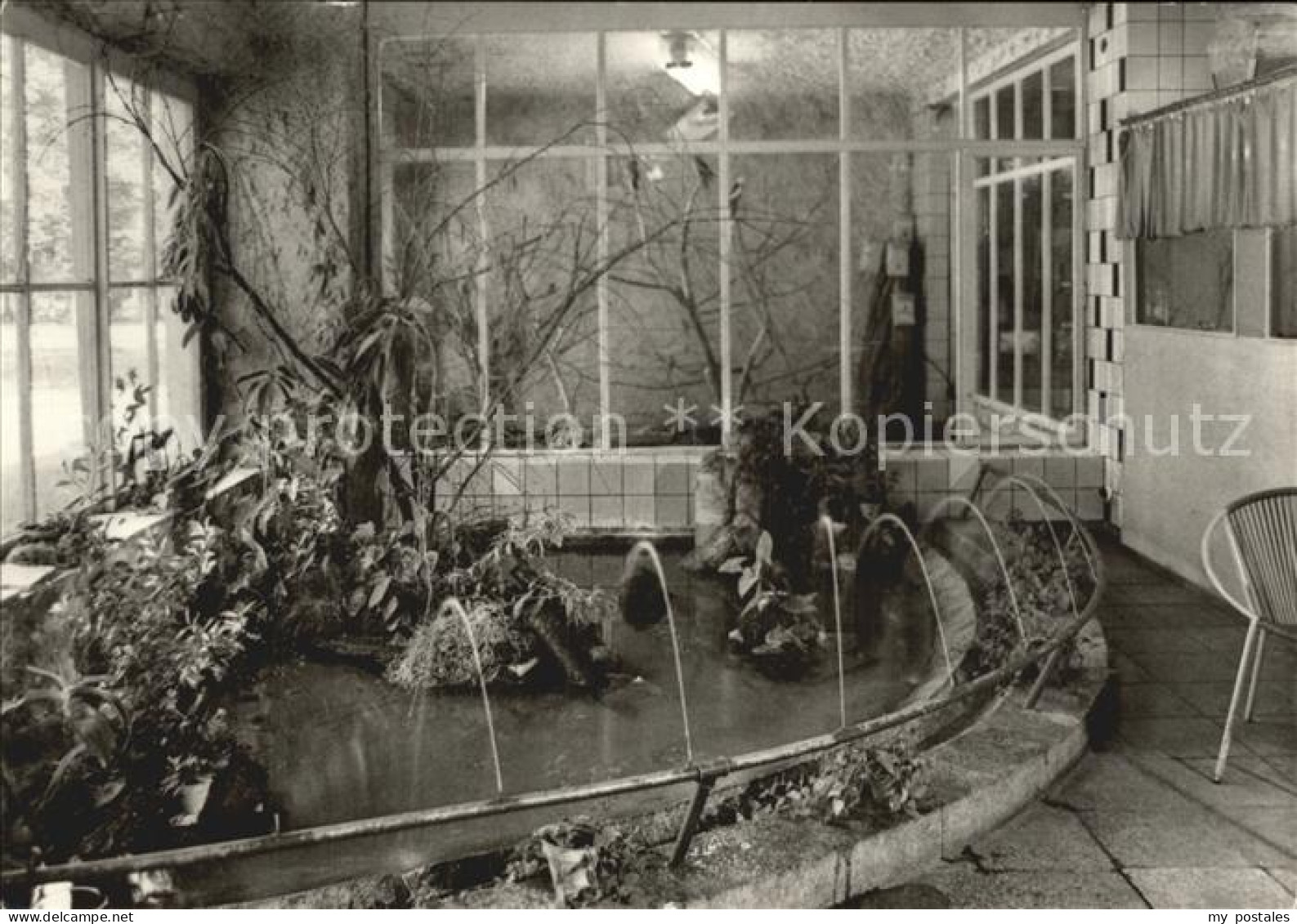 Ueckermuende Mecklenburg Vorpommern Tierpark