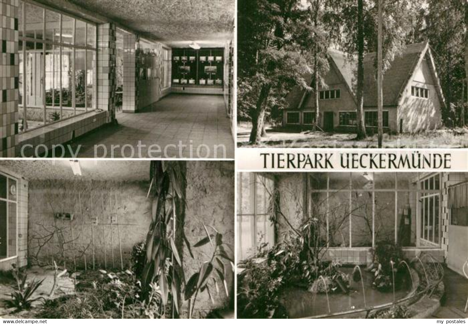 Ueckermuende Mecklenburg Vorpommern Tierpark Vivarium