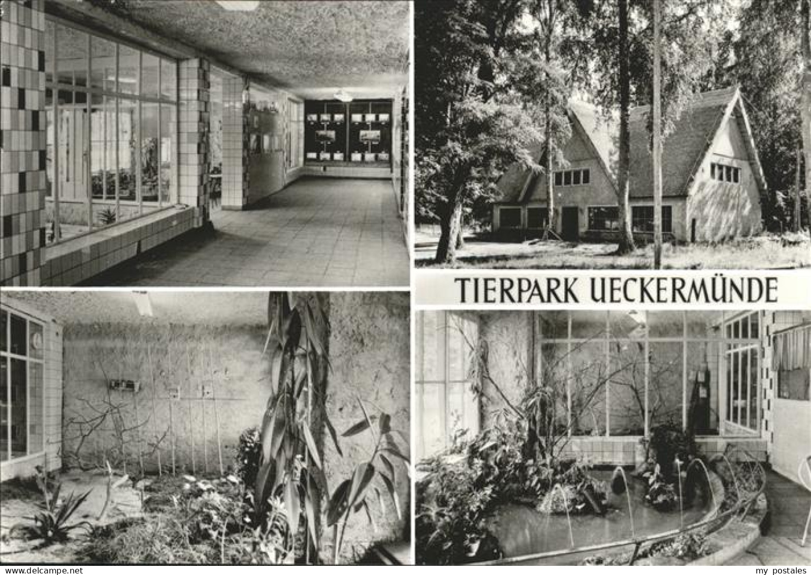 Ueckermuende Tierpark Vivarium