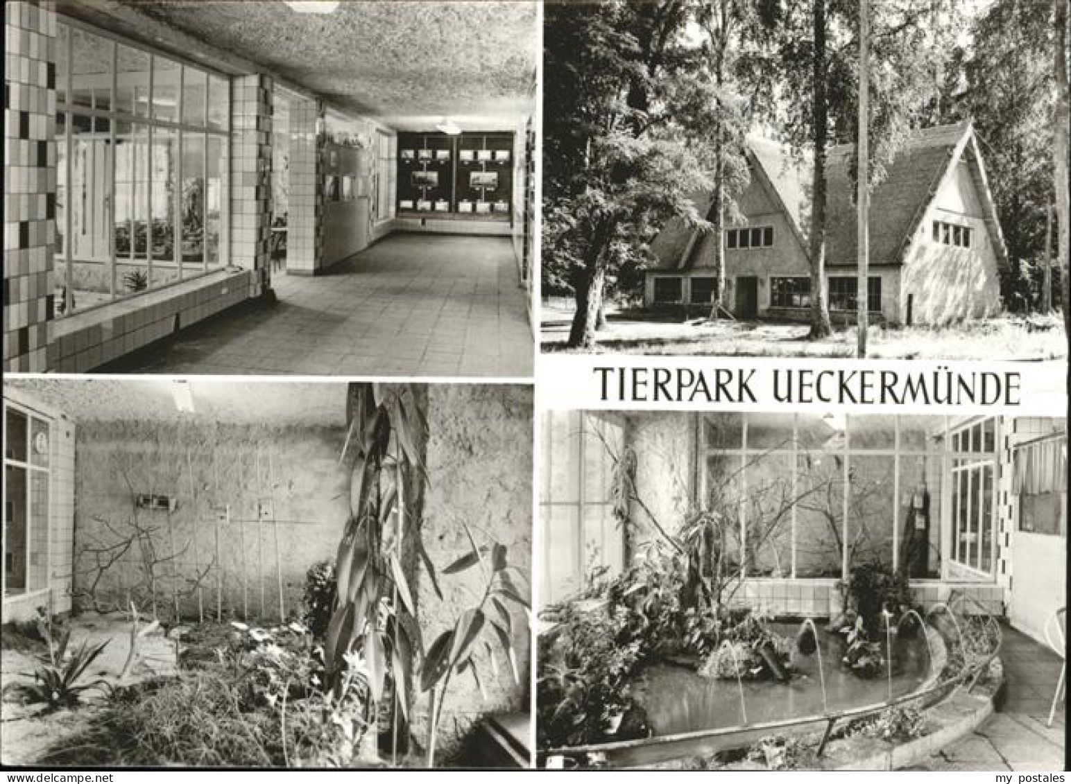 Ueckermuende Tierpark Vivarium