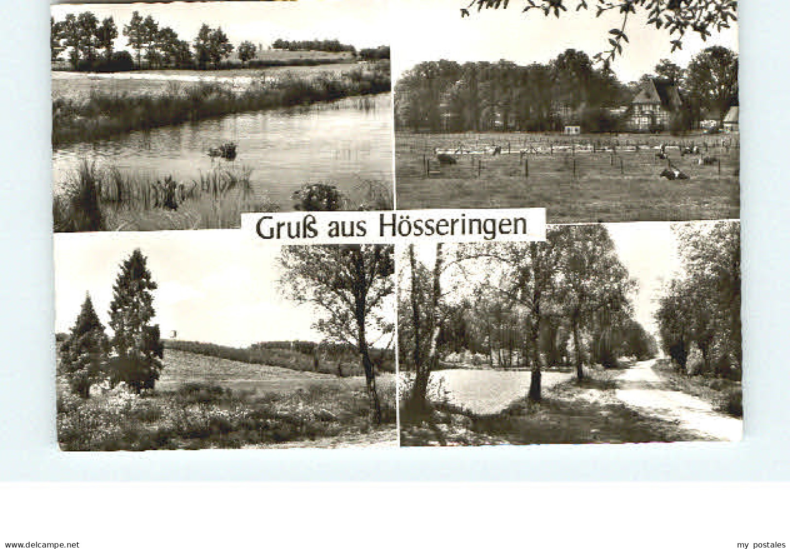 Uelzen Lueneburger Heide Uelzen Hoesseringen
