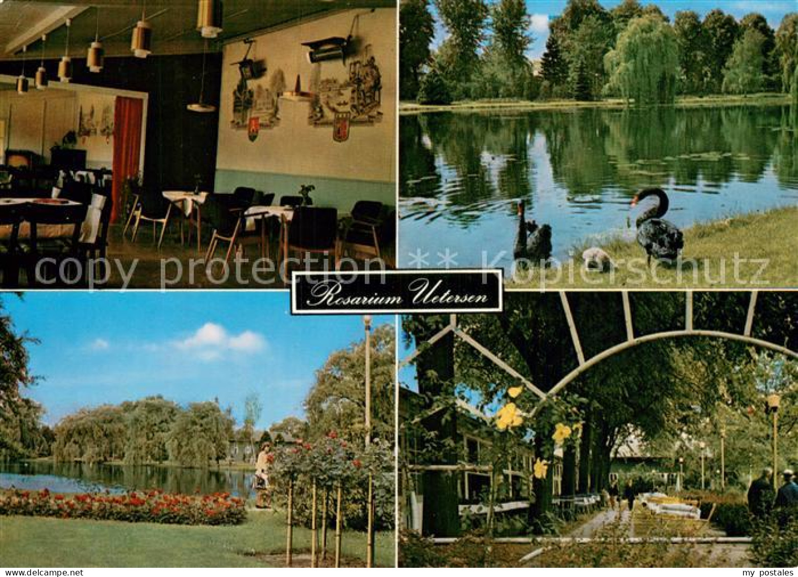 Uetersen Rosarium Rosen-Cafe
