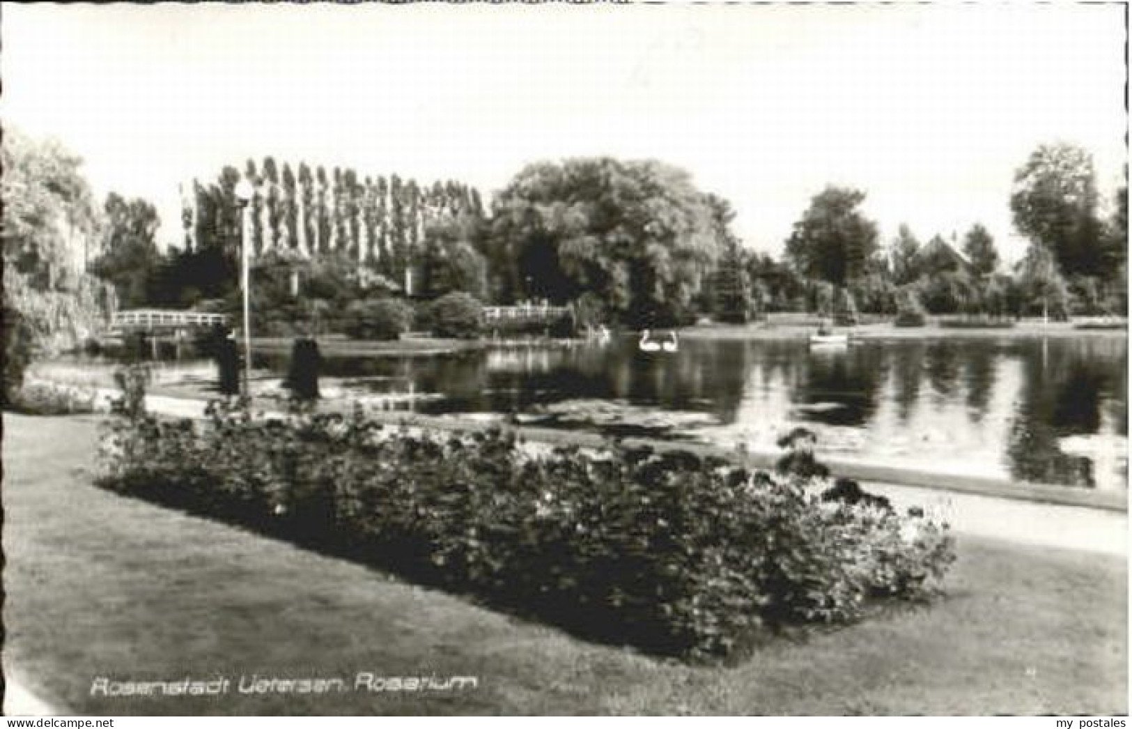 Uetersen Rosarium x 1966