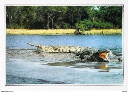 Ouganda   Crocodiles  - années 1980s