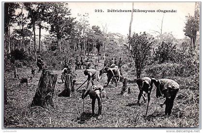 OUGANDA - défricheurs Kikouyous