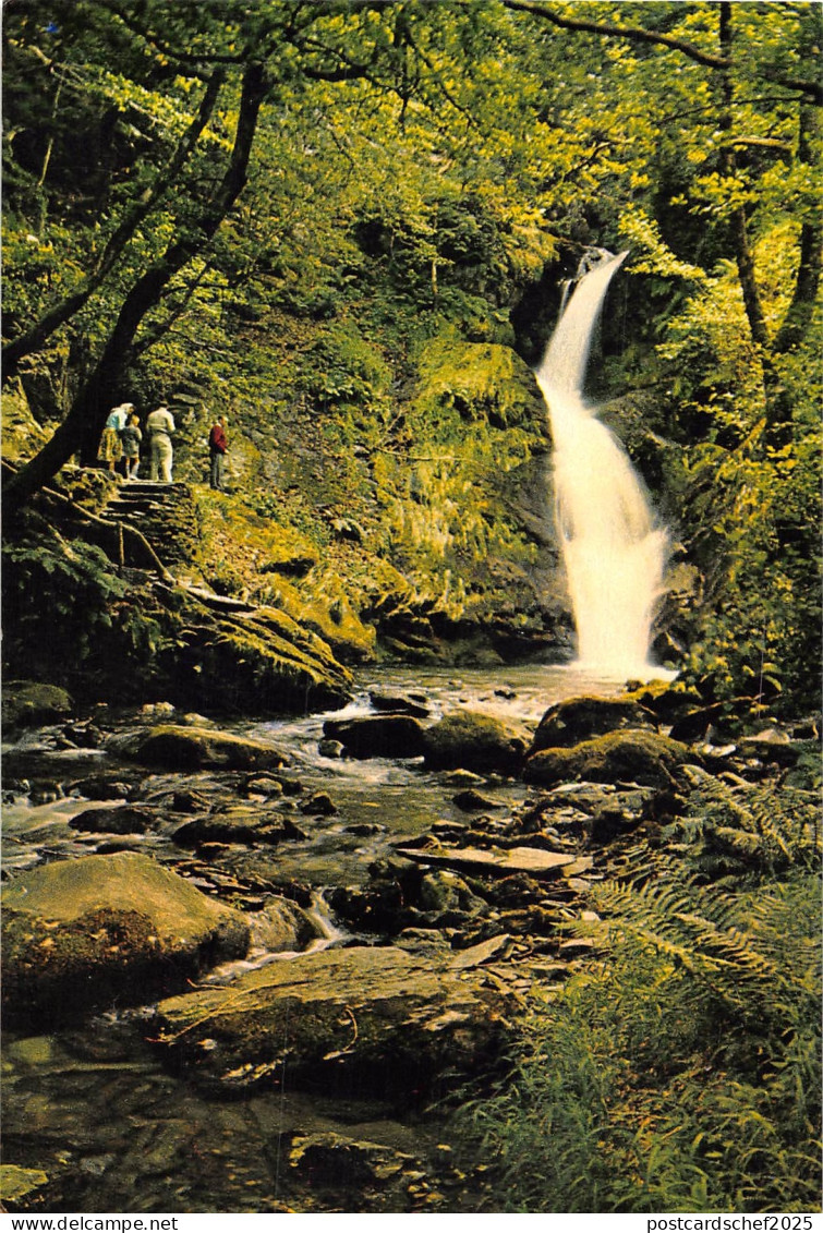 uk1749 dolgoch waterfalls merionethshire wales real photo uk