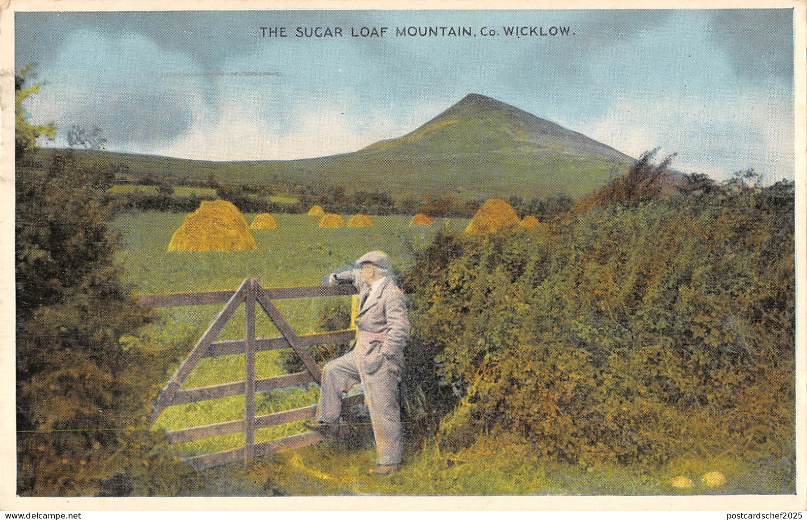 uk30739 sugar loaf mountain wicklow ireland