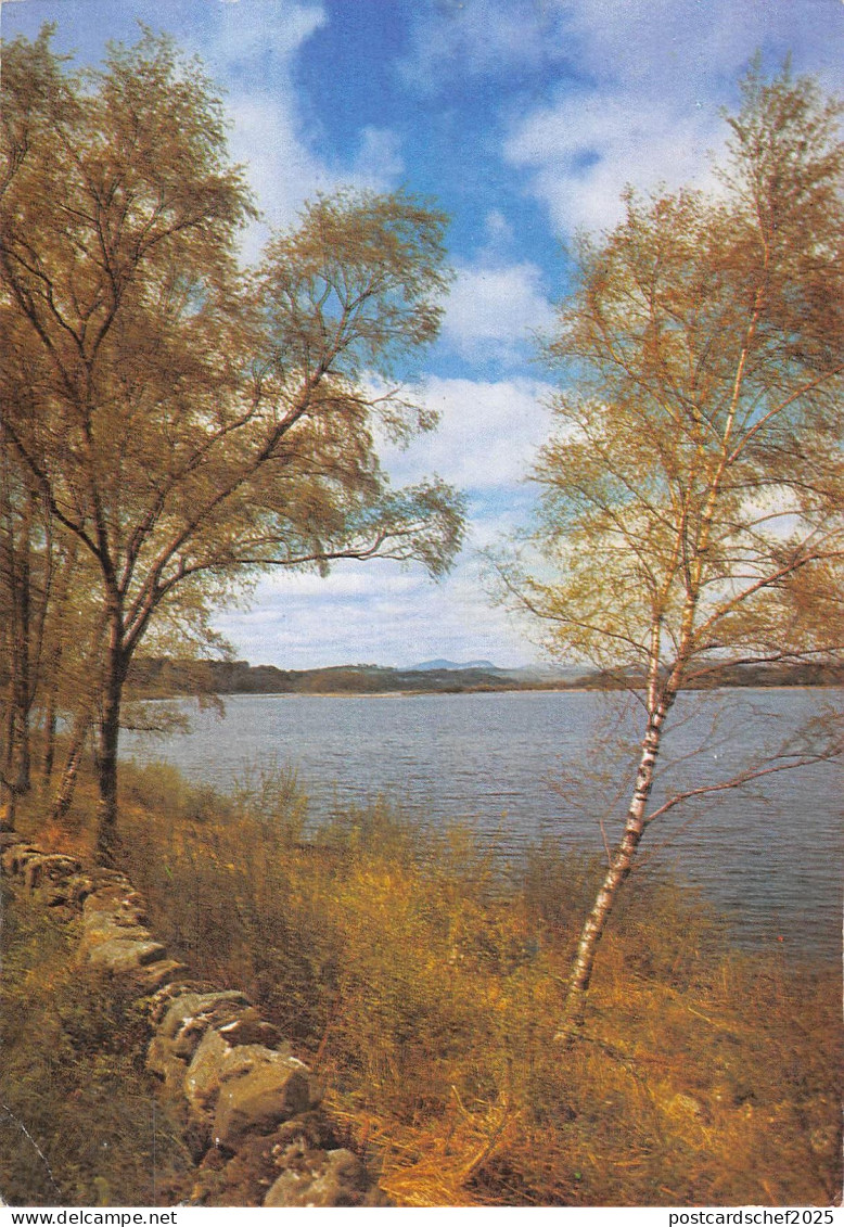 uk33910 loch ken kirkcudbrightshire  scotland  uk