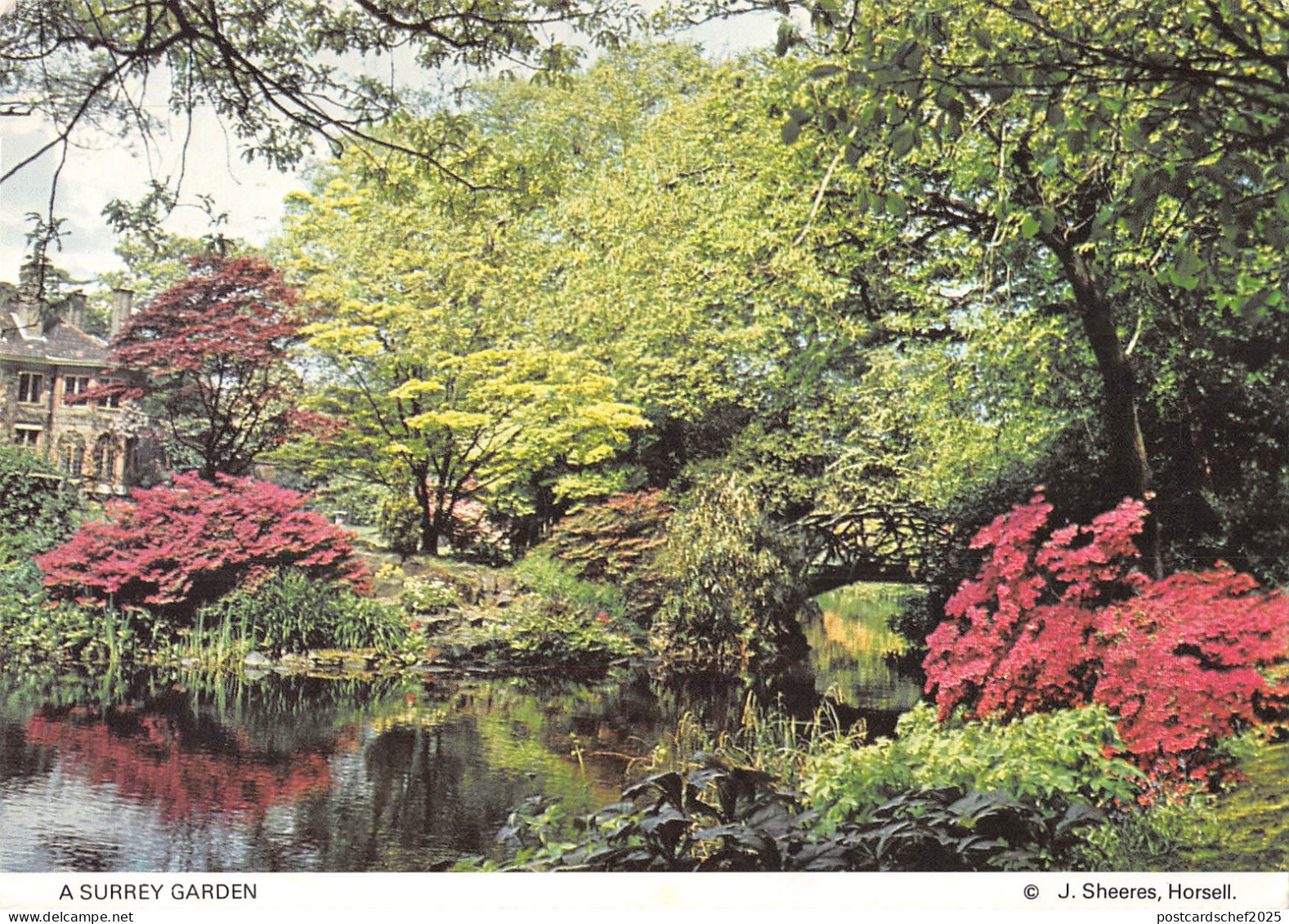 uk34570 surrey garden  uk