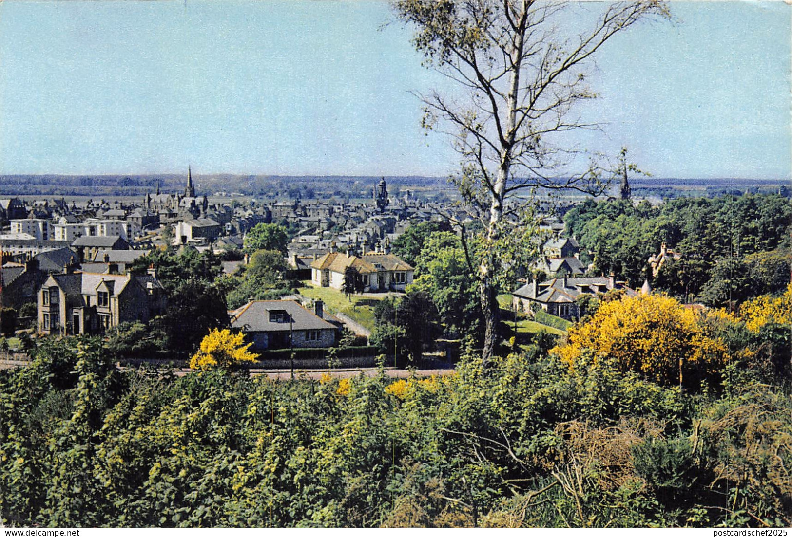 uk45242 forest moray scotland uk