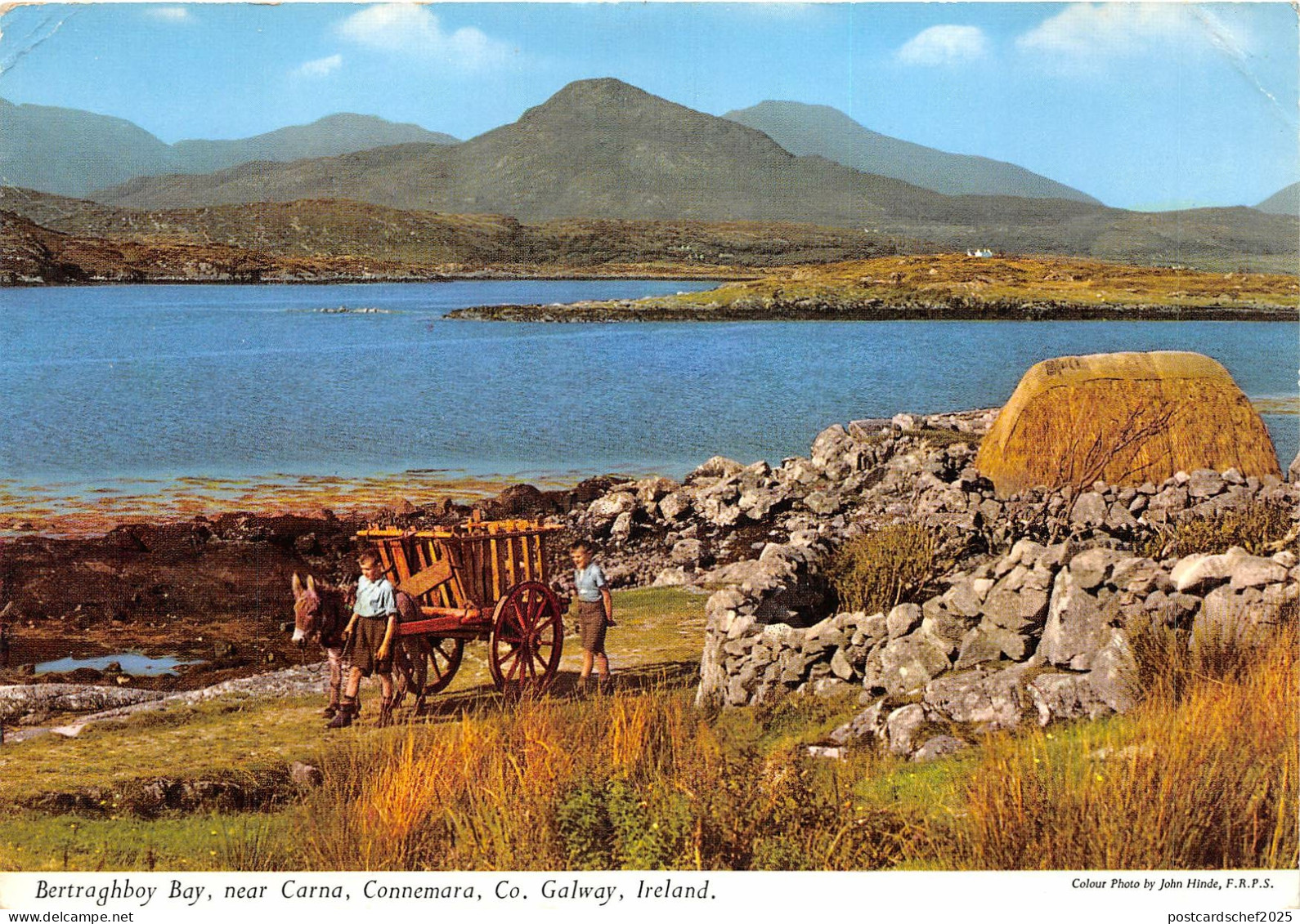 uk51802 bertragh bay near carna connemara galway ireland donkey