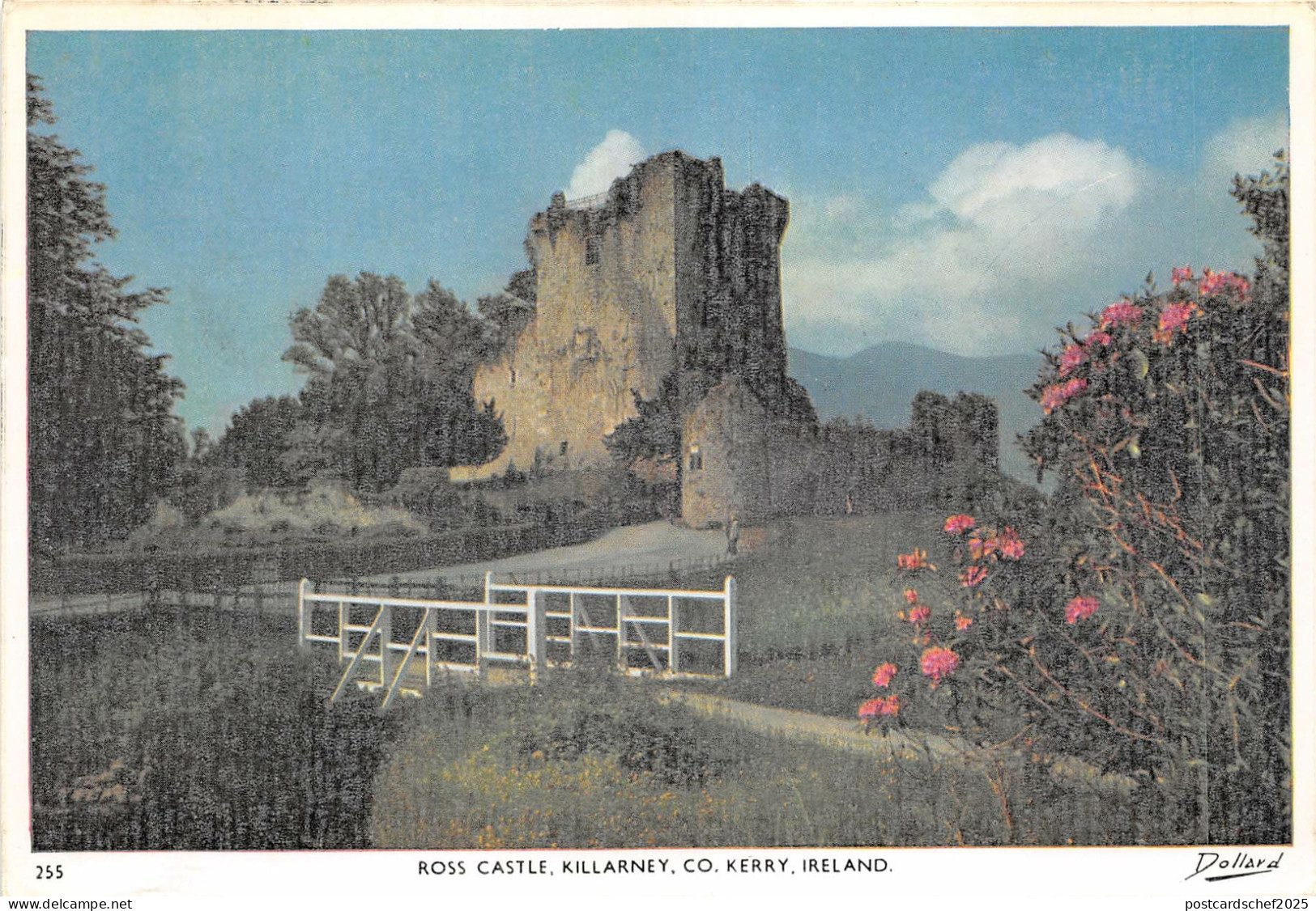 uk51873 ross castle killarney kerry ireland