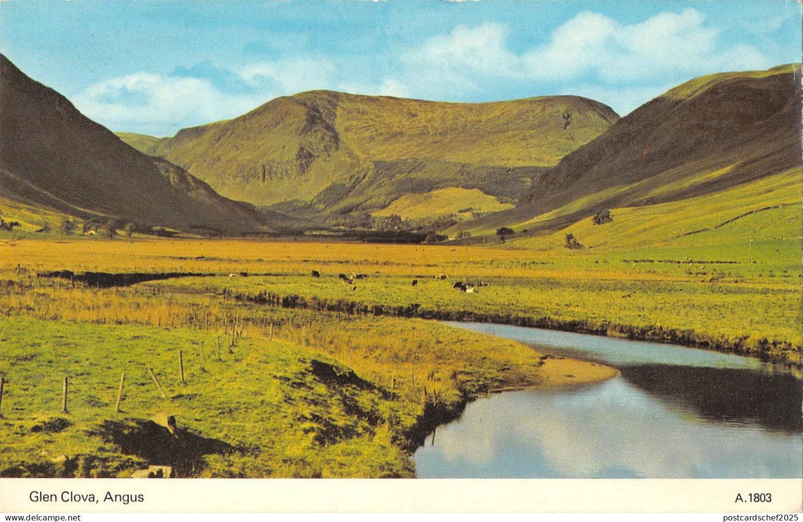 uk8638 glen cova angus scotland uk