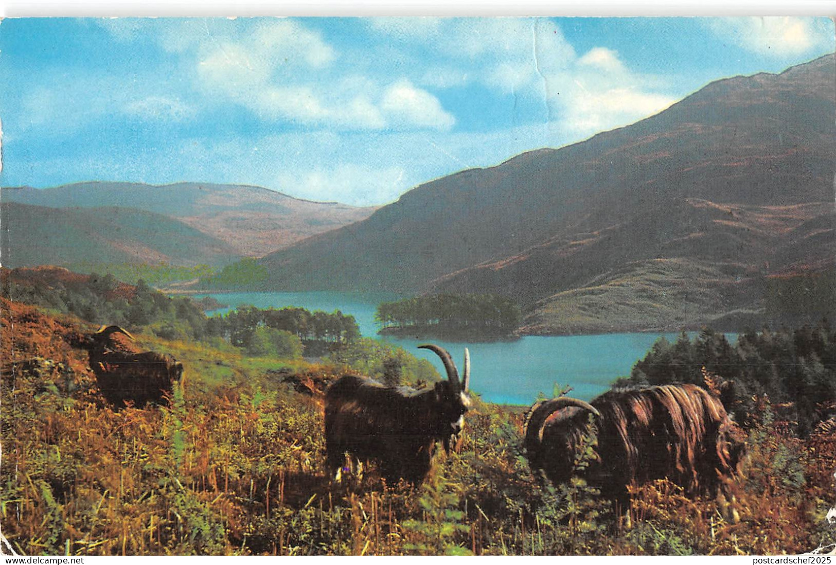uk8987 loch trool scotland uk